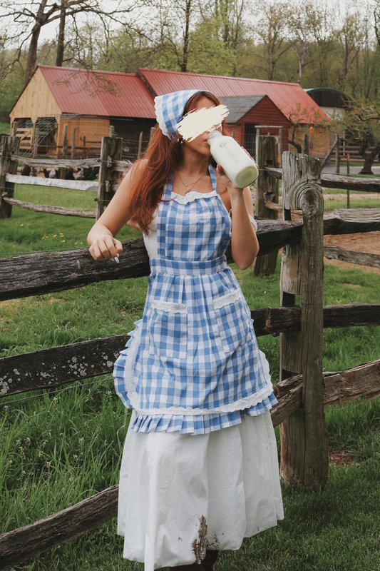 Blueberry Pie Gingham Apron Set